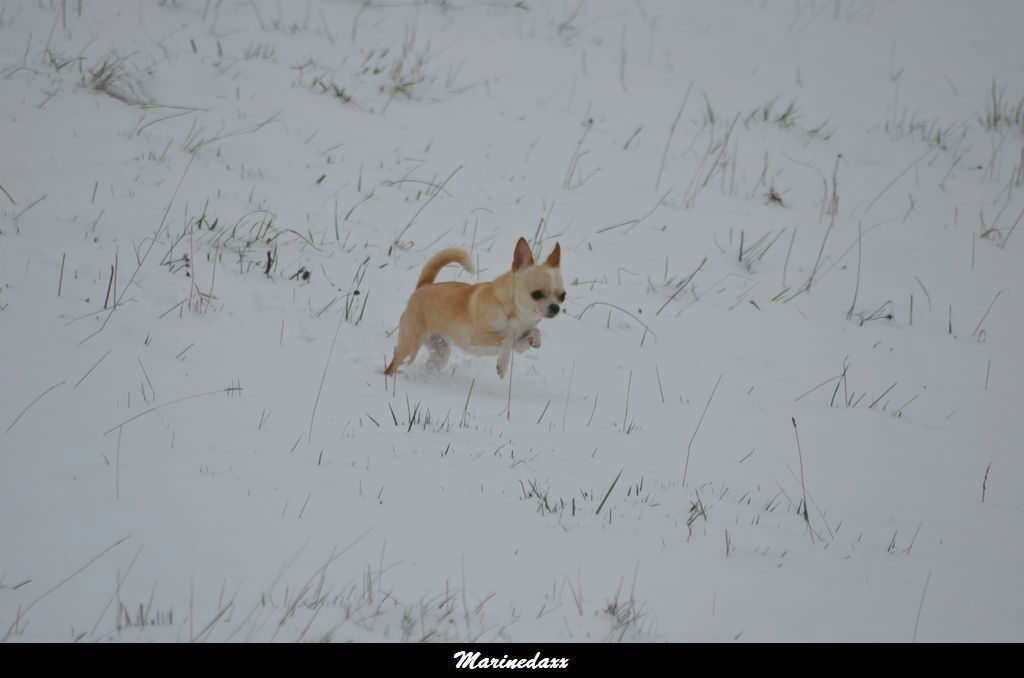 le paradis blanc Dec2012120