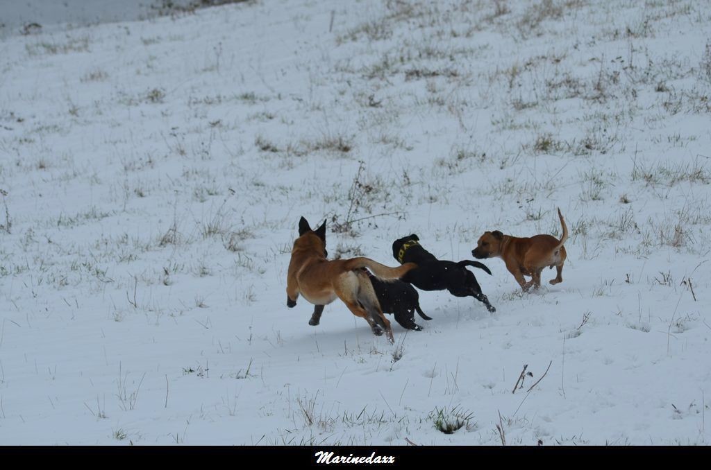 le paradis blanc Dec2012133