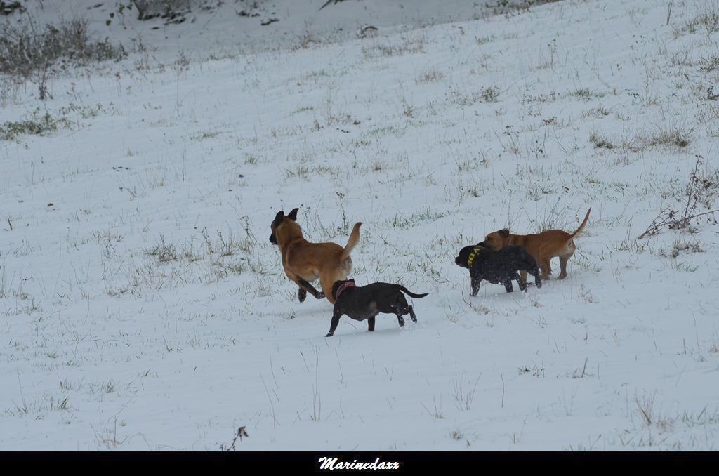 le paradis blanc Dec2012136