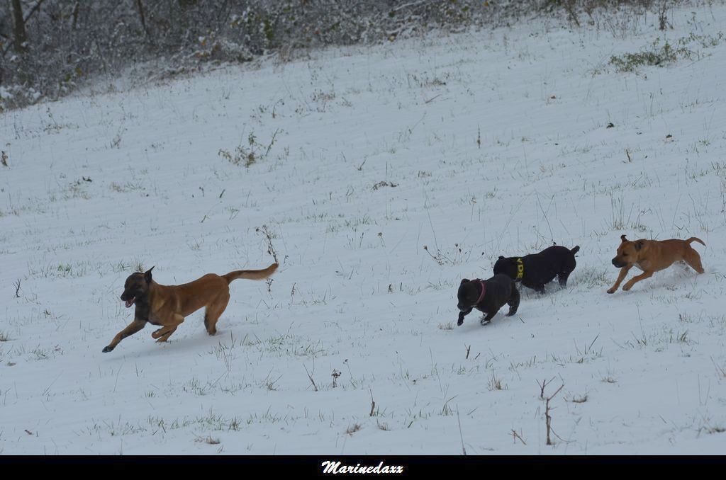 le paradis blanc Dec2012139