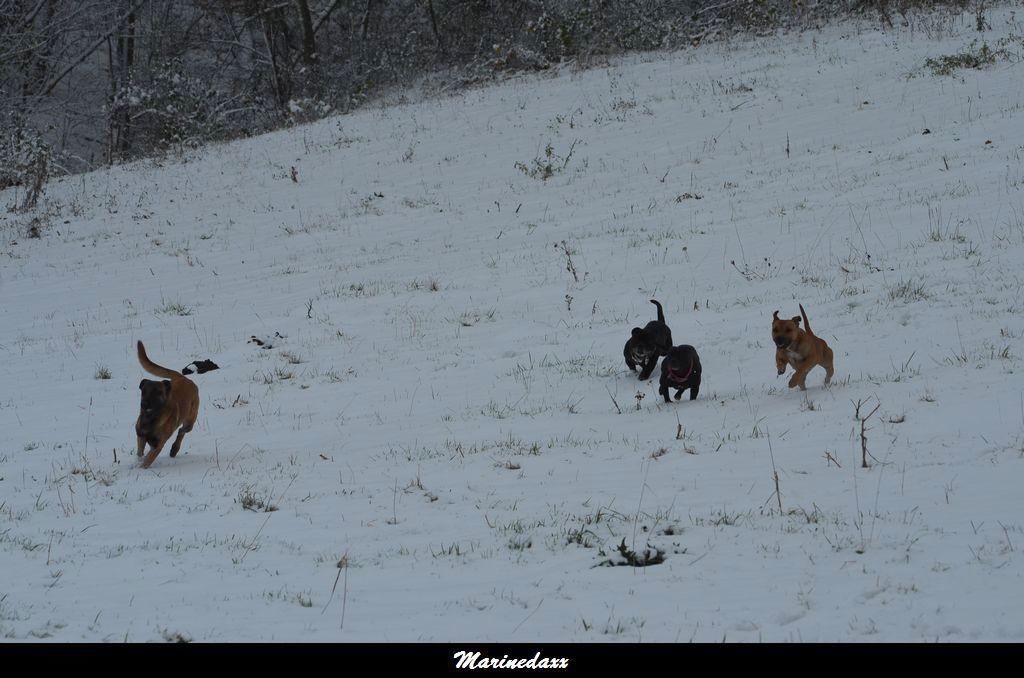 le paradis blanc Dec2012140