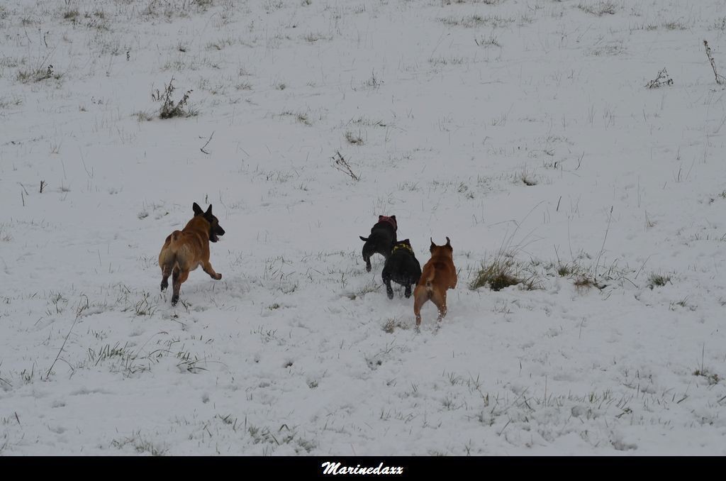 le paradis blanc Dec2012201