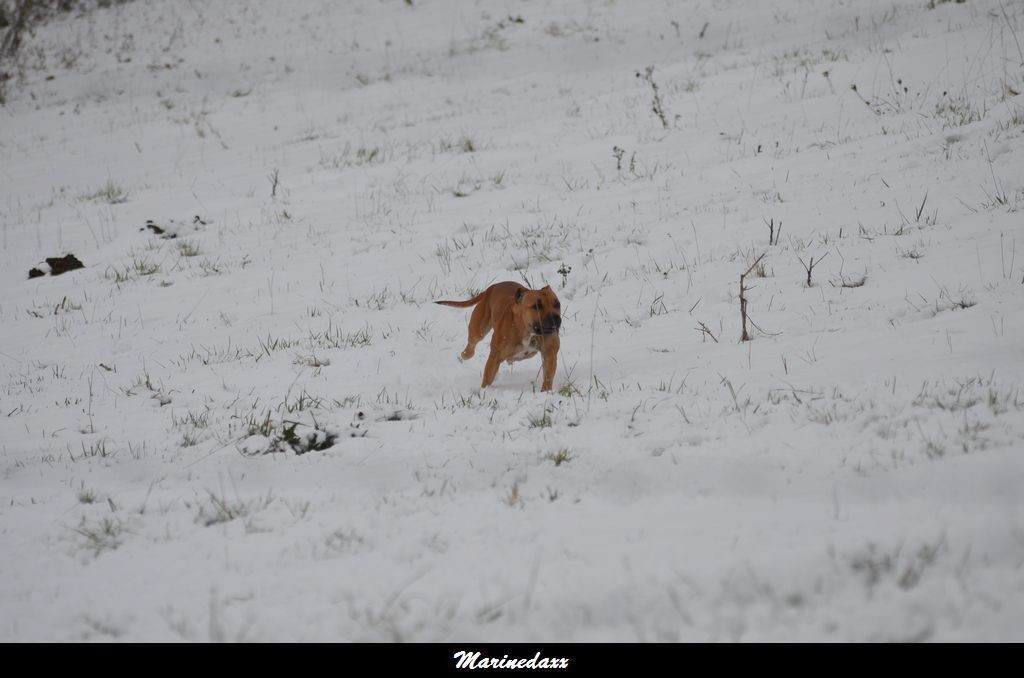 le paradis blanc Dec2012228