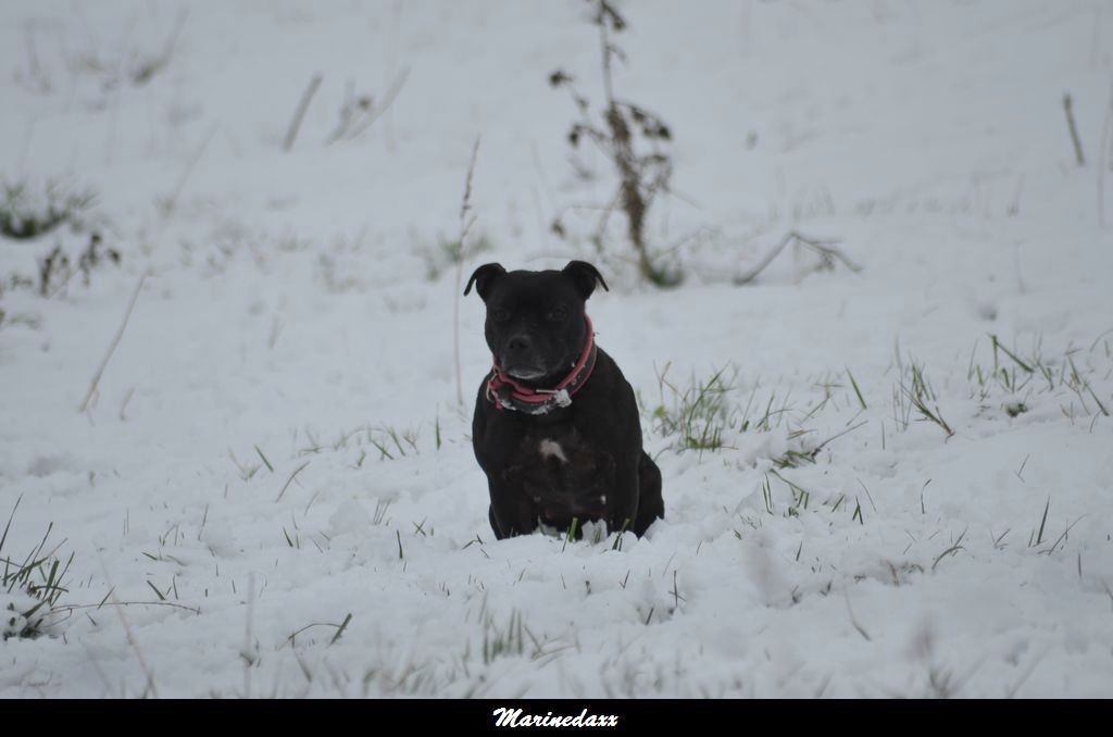 le paradis blanc Dec2012243