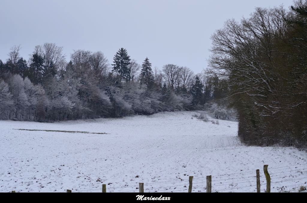 le paradis blanc Dec2012295