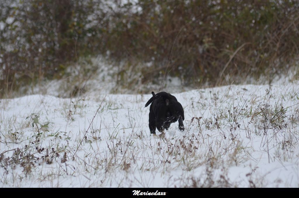 le paradis blanc Dec2012305