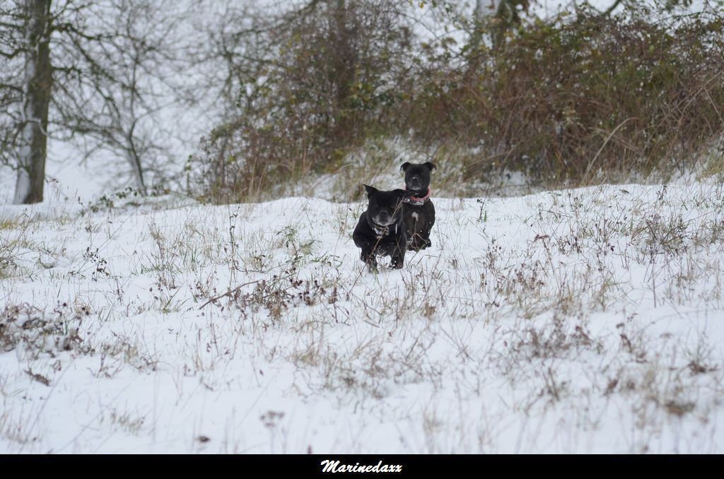 le paradis blanc Dec2012310