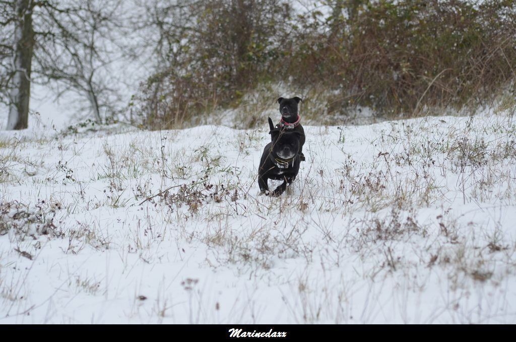 le paradis blanc Dec2012311