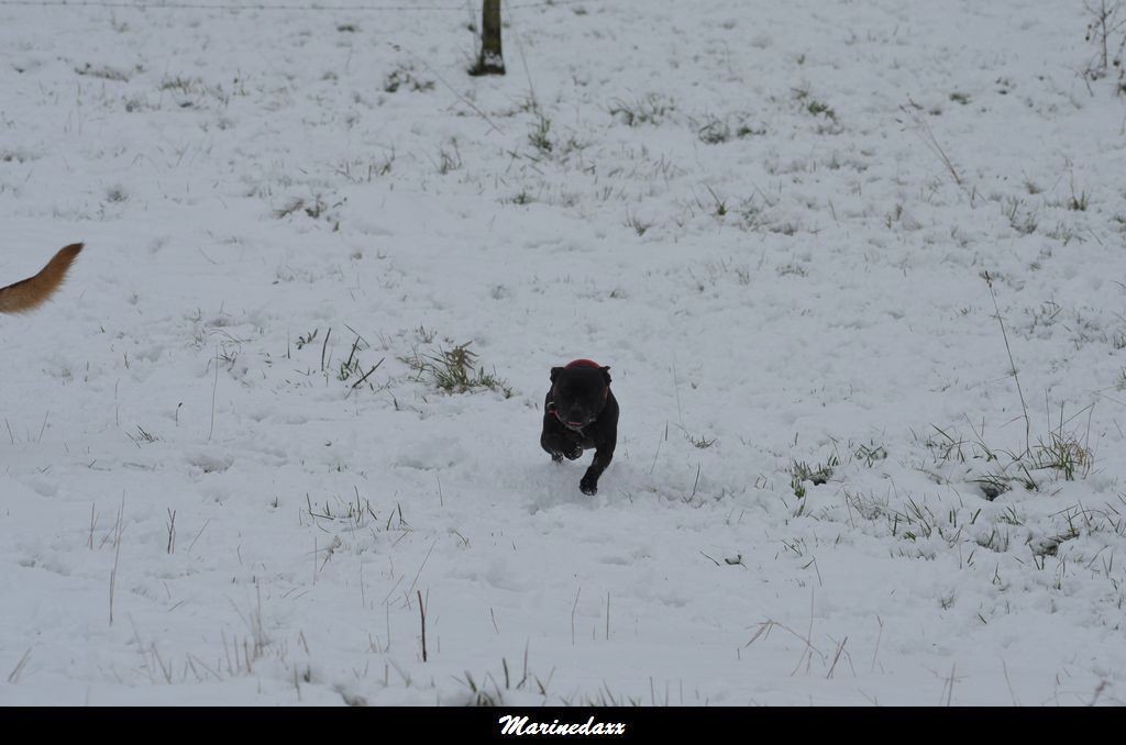 le paradis blanc Dec2012321