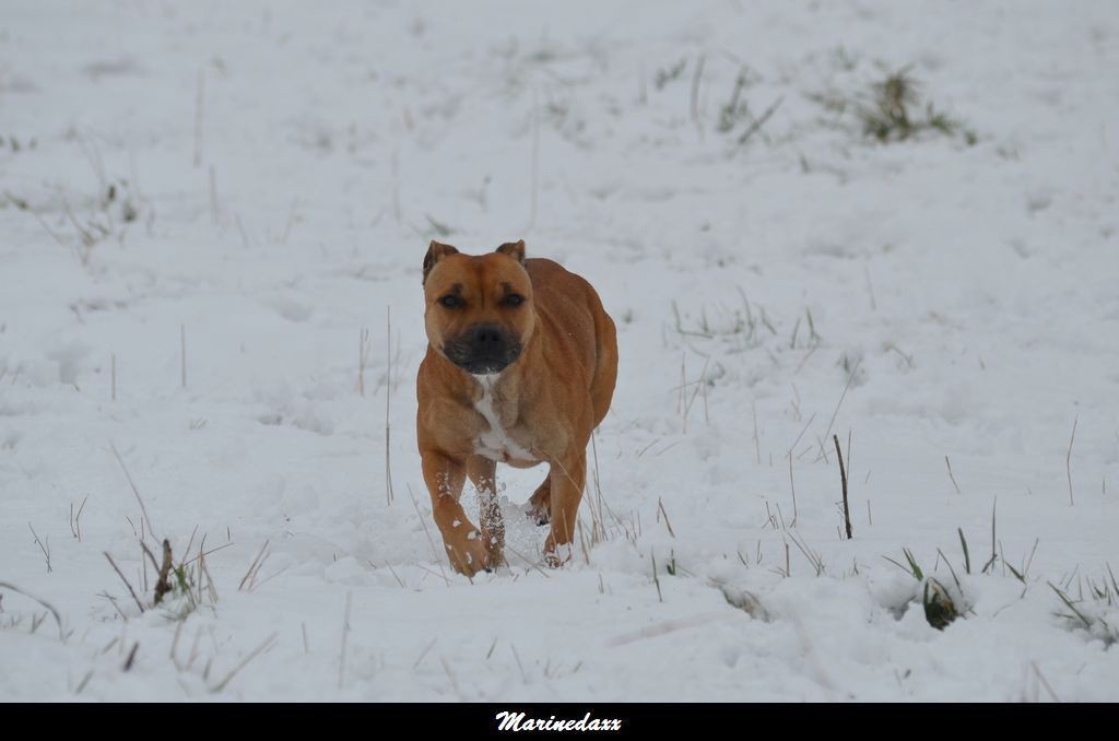 le paradis blanc Dec2012349