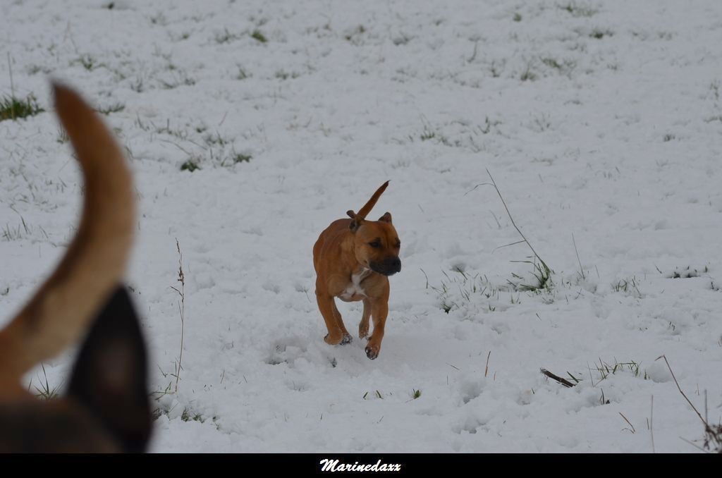 le paradis blanc Dec2012382