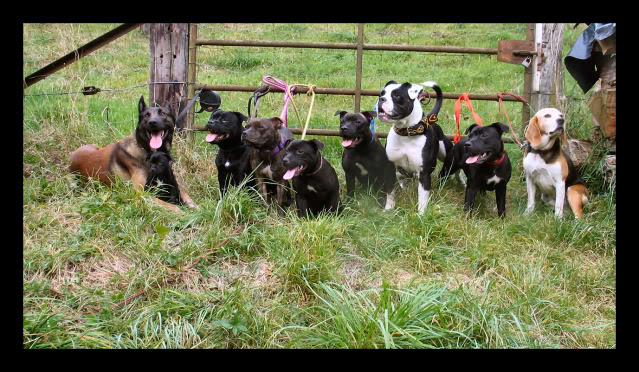 Portrait de famille Ljlm