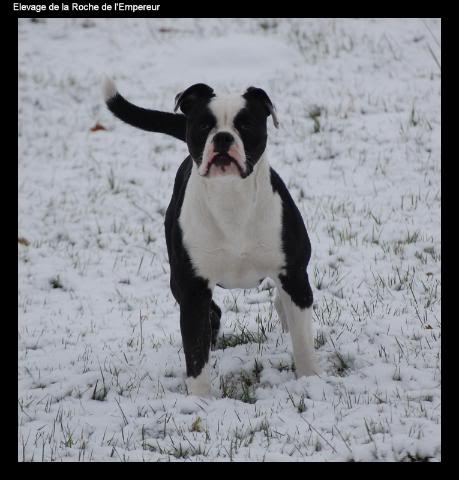 Vive la neige!!! (pas mal de photos!!) DSC_0653