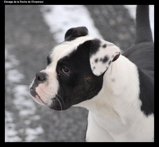 Vive la neige!!! (pas mal de photos!!) DSC_0667