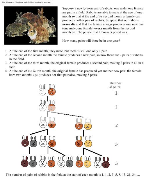 Fibonacci Numbers and the Golden Section (e-book) F1