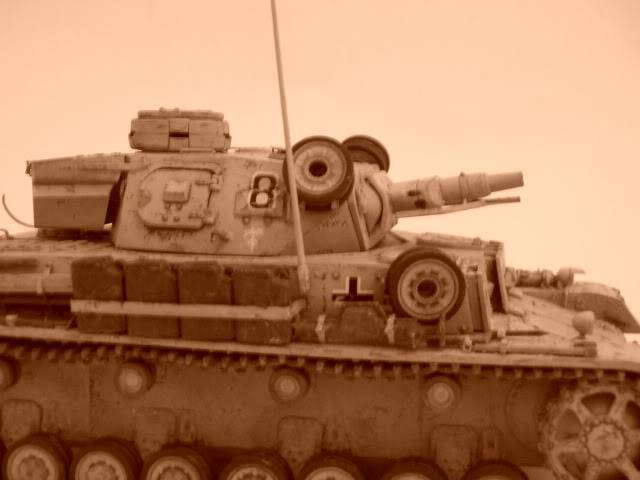 panzer - PANZER IV Ausf .E (DAK) - Page 2 DSCN0944