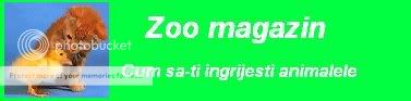 Zoo Magazin