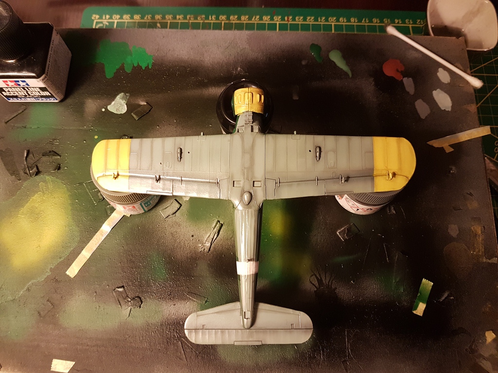 [Revell] Arado AR 196. Ca vol et ça flotte. - Page 2 20170317_215532_zpsd4p7avsa