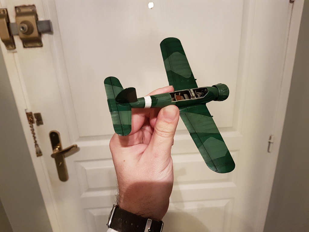 [Revell] Arado AR 196. Ca vol et ça flotte. - Page 2 20170318_210142_zpsjcnlbdqm