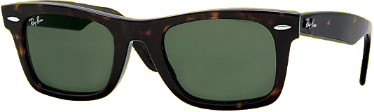 Wayfarer RayBan RayBan