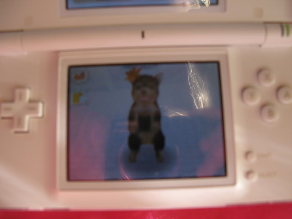 Mes Nintendogs! 20080424_0408