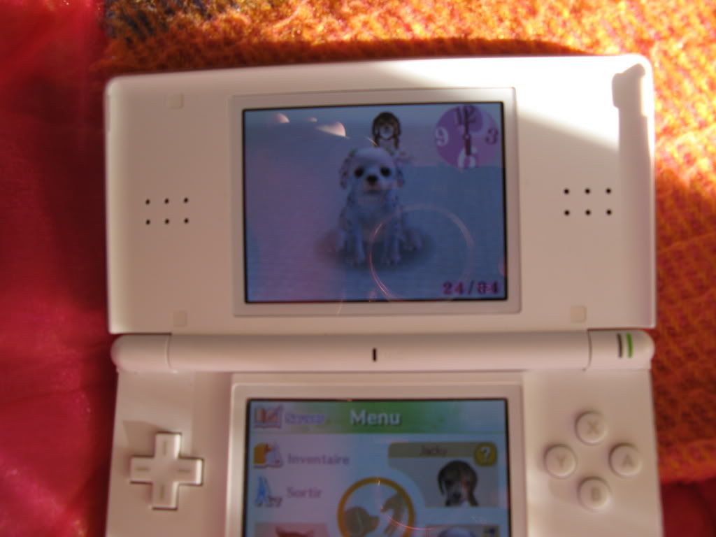 Mes Nintendogs! 20080424_0416