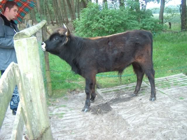 Besuch im Wildfreigehege Saerbeck Wildfreigehege052