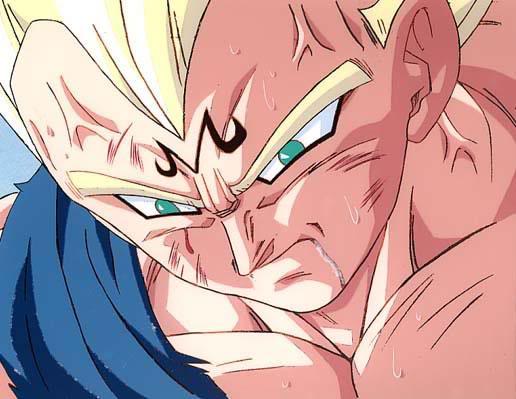 اكبر صور دراجون بولz Vegeta