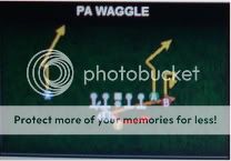 PA    Waggle Coltspb046-5