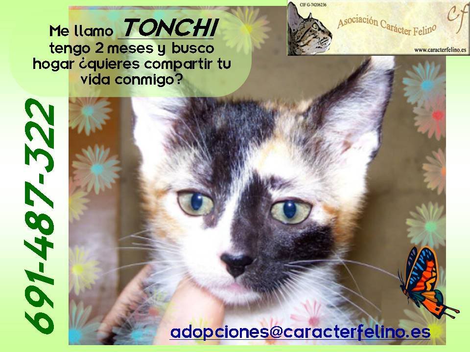 Tonchi (Asturias) CartelTonchi