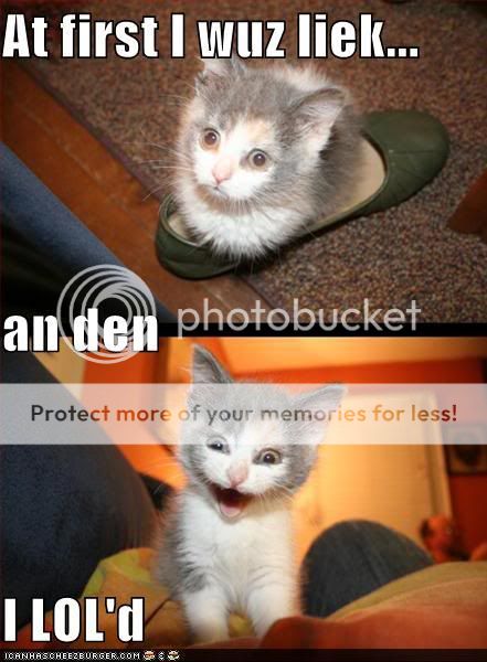 Unknown life form - Page 3 Funny-pictures-kitten-shoe-loled