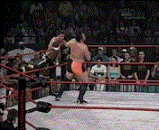 AJ Styles vs Gregory Helms SPRINGBOARDMOONSAULTYINVERTEDDDT-ST