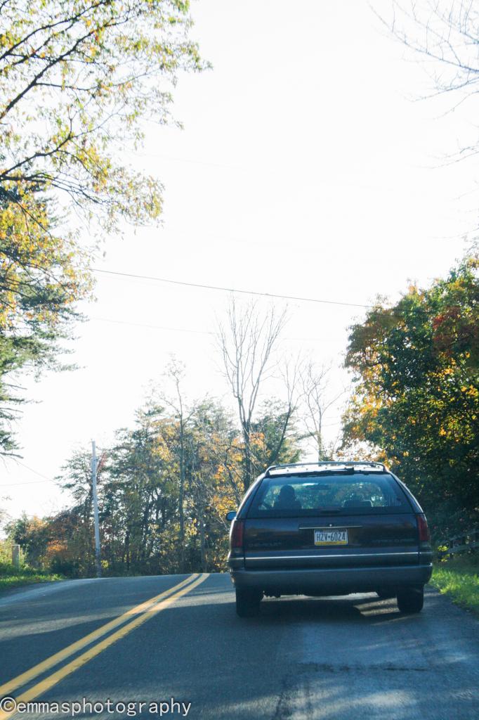 Mid Atlantic Wagonfest Picture Thread IMG_7070_zpse33ef07e