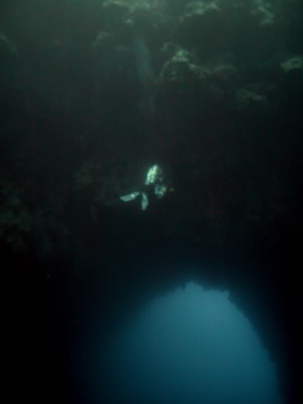 Arch Blue Hole Swimmingintothearchresize2