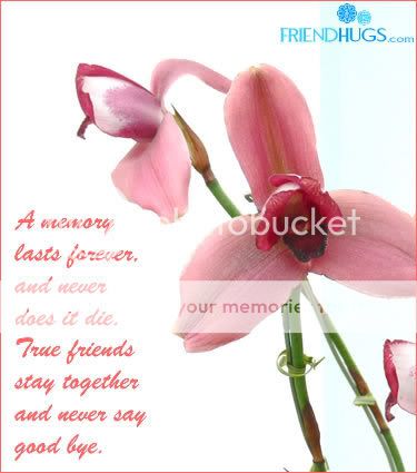   Friendship_card16