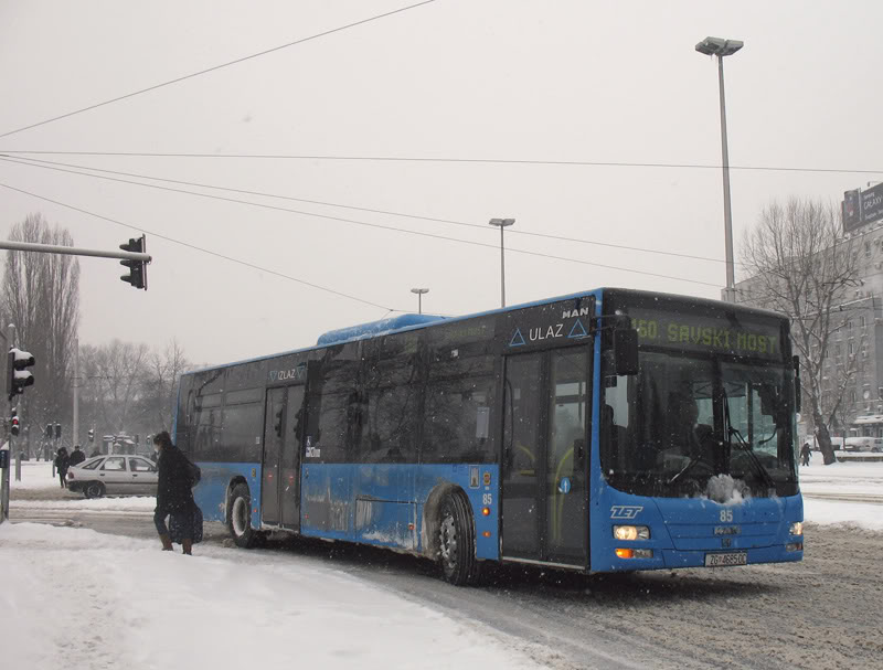 ZET Zagreb - Page 5 Zetbus003