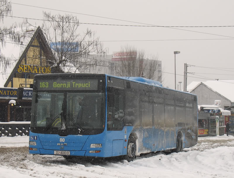 ZET Zagreb - Page 5 Zetbus005