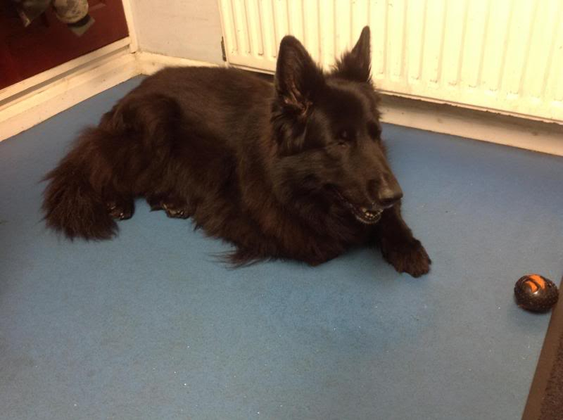 Tish 12yr old black longcoat Tish2