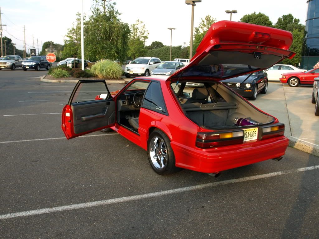 my daily driver and mustang P8230644