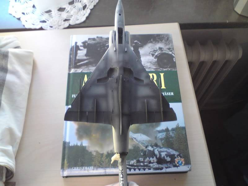 Eduard Mirage III CJ 1/48 - Sida 2 DSC00284