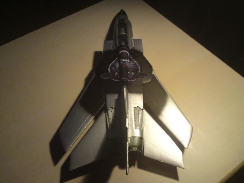 Italeri Tornado , Black Panther 1/48 - Sida 4 DSC01121