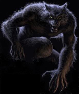Wolf Change Werewolf