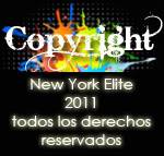 Registro de avatars Copyright