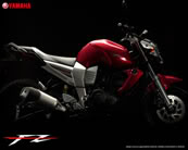 yamaha yzf250 - Page 6 Wp_fz16_ps4