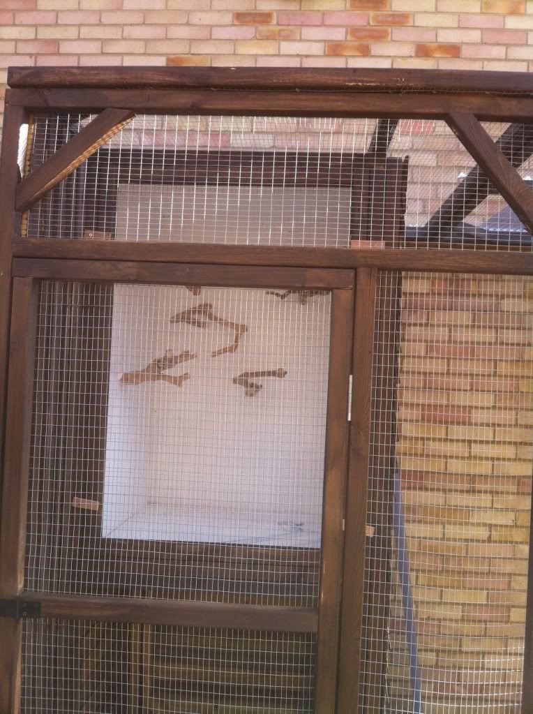 Im Building an aviary. Aviary