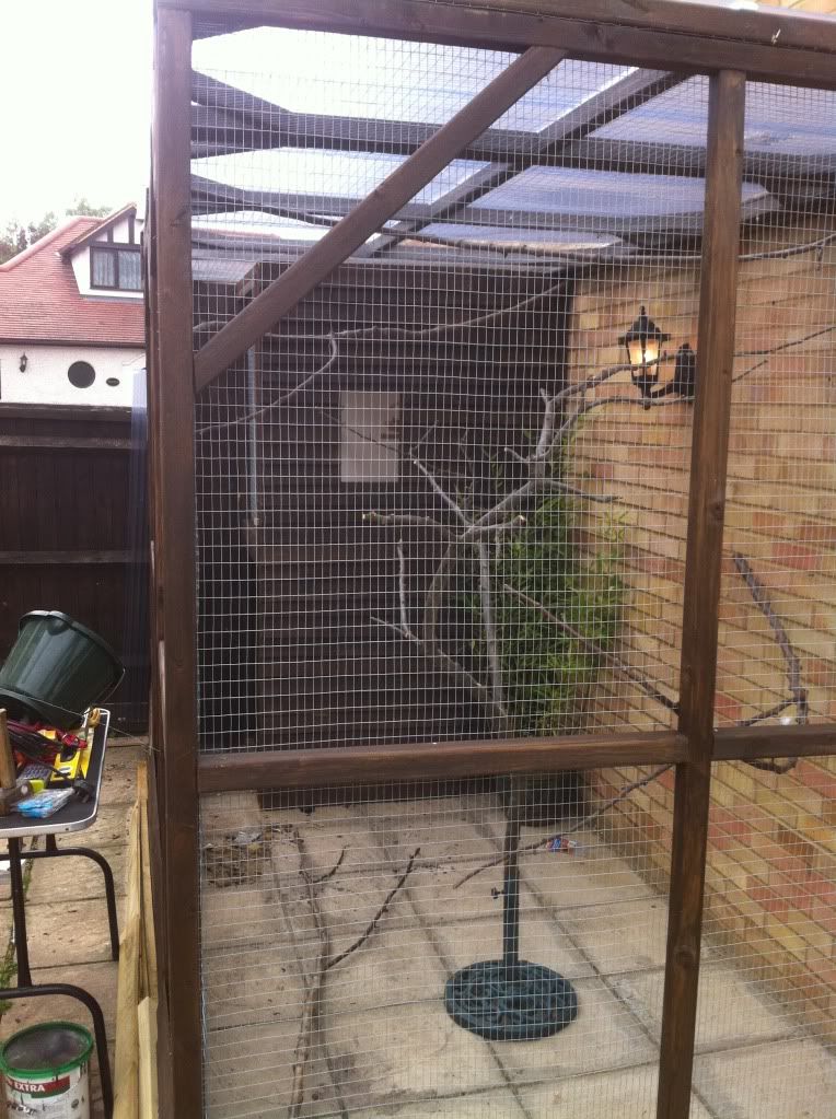 Im Building an aviary. Aviary3