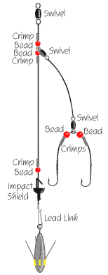 rig 5,  the wishbone Awishbonerig