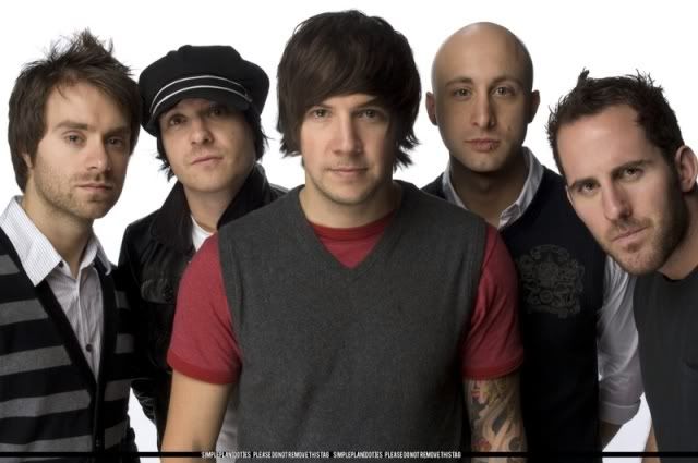 Simple Plan 13fr910