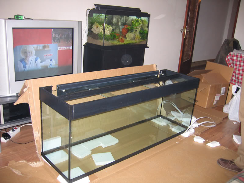 Nuevo acuario de 300L ACUARIO300L-21