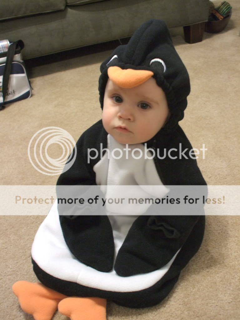 Create A Caption game BabyPenguin